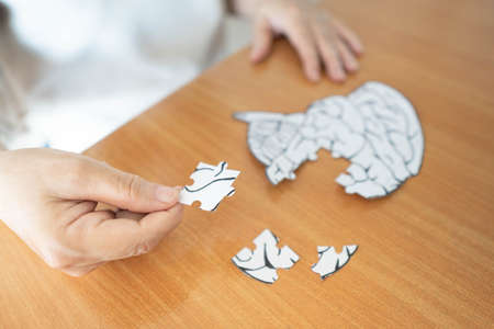 Elderly woman hands holding missing white jigsaw puzzle piece down into the place as a human brain shape. Creative idea for memory loss, dementia, Alzheimer's disease and mental health concept.の写真素材