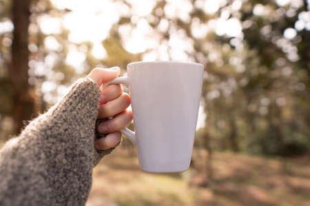 Woman hands holding a white coffee mug in the forest. Blank mug printing design template. Mock up.