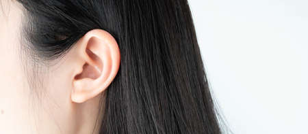 Close up of female ear in black hair over white background. Copy space.の写真素材