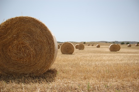 Campo con balla di fieno in primo piano