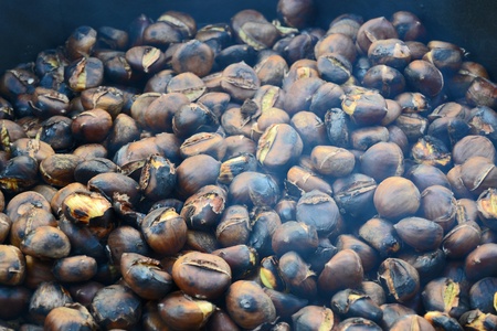 chestnutsの写真素材