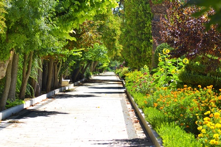 Path in a garden with trees and flowerbedsの写真素材