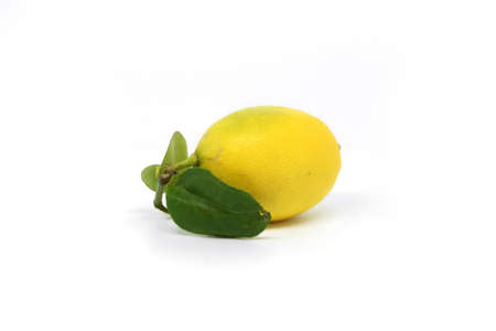 Sweet lemon isolated on white background.の写真素材