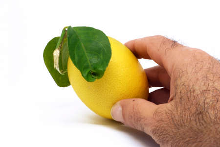 Sweet lemon isolated on white background.の写真素材