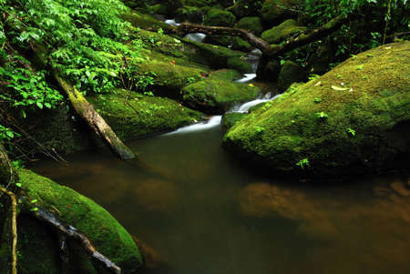 Greenish mossy waterfallの写真素材
