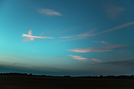 Evening sky with cloud structure, dragonfly, butterfly, palm tree.の写真素材