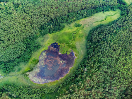 Aerial view of a lake in the forests of Lithuania, wild nature. The name of the lake is "Balezeris (Balazeris)", Varena district, Europe.の写真素材