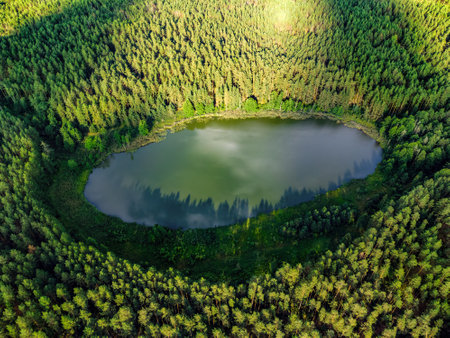 Aerial view of a lake in the forests of Lithuania, wild nature. The name of the lake is "IÅ¡rÅ«ginis", VarÄna district, Europe.の写真素材