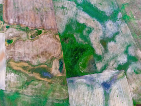 Colorful autumn fields, after taking off from a height, the flight will turn into fields.の写真素材
