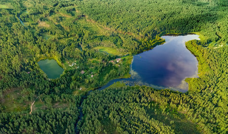 Aerial view of a lake in the forests of Lithuania, wild nature. The name of the lake is "Varenis", Varena district, Europe.の写真素材