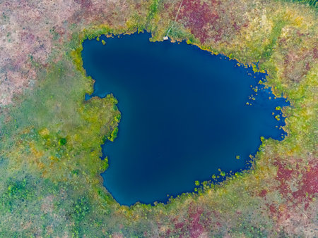 Aerial view of a lake in the forests of Lithuania, wild nature. The name of the lake is Bakanausko,...