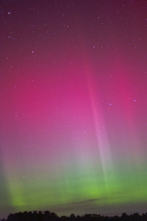Aurora borealis in northern lights, Lithuania. Portrait formatの写真素材