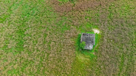 Aerial view of an old abandoned house with a collapsed roof, standing alone in the middle of agricultural fieldsの写真素材