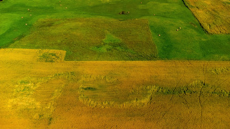 Aerial view of a rural landscape with green fields, meadows, farmlands, and patches of forest....