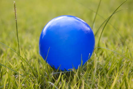blue ball on green grass a sunny day in the parkの写真素材