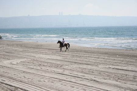horse rider on the beachの写真素材