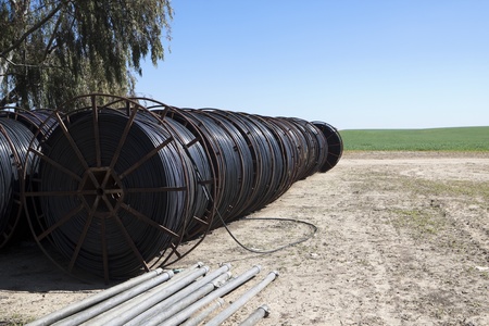 black irrigation hose  round wrap with green wheat in the background desert agricultureの写真素材