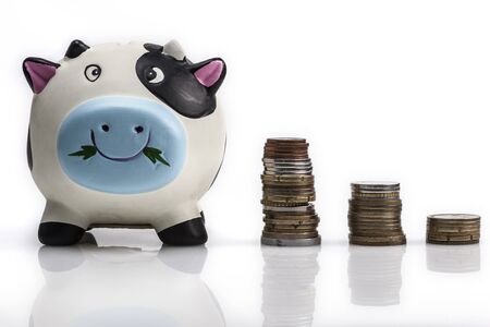 Piggy bank isolated on white background with reflectionの写真素材