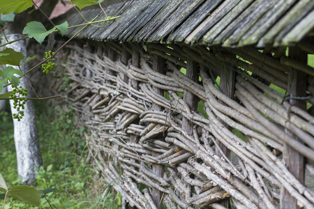 Old Tree Branch Garden Fenceの写真素材