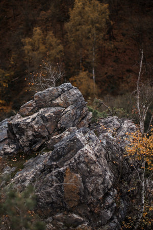 Autumn in the mountains. Beautiful autumn landscape in the mountains.の写真素材