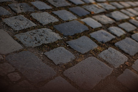 Textured stones create a charming walkway.