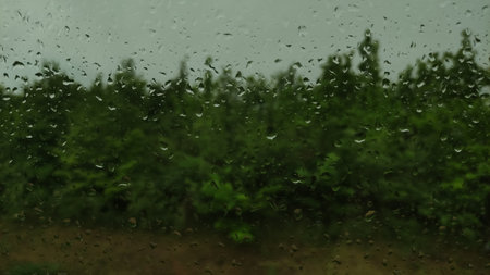 Dense green forest standing tall under a cloudy sky, creating a captivating scene of natural beautyの写真素材