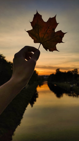 Woman is showing a red maple leaf with a green background in Stromovka Park. Vertical mobile photo