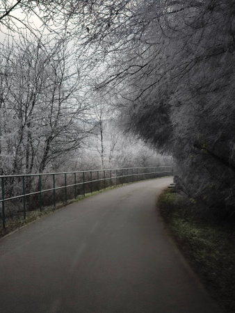 Serene paved path winds through frost covered trees in Prague, Czechia, offering a tranquil winter...