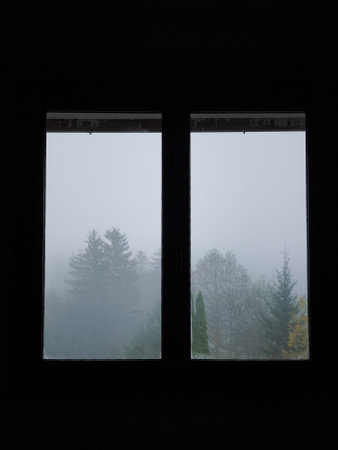 Misty autumnal forest seen through a window, creating a serene and atmospheric scene
