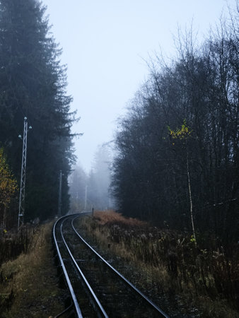 Empty train tracks curving into a misty forest in autumn, creating a mysterious and evocative scene