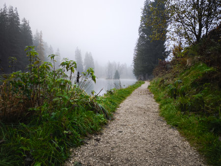 Serene gravel path meanders alongside a misty lake, enveloped by the vibrant autumn foliage of...