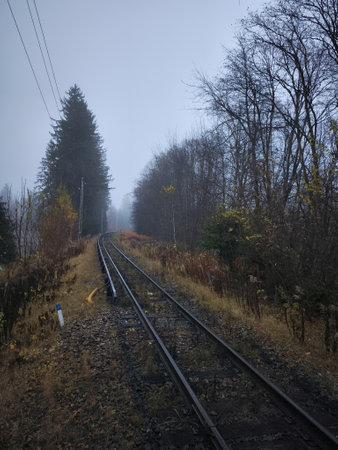 Empty railroad tracks vanishing into the misty distance in a tranquil autumn forest near chamonix,...