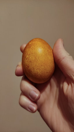 Hand holding a beautifully golden onion skin dyed easter egg, embracing the joy and warmth of easter festivities and cherished traditions copy spaceの写真素材