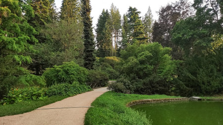 Scenic pathway meandering through a vibrant green park, featuring a tranquil pond and diverse foliage in Pruhonice, Czech Republicの写真素材