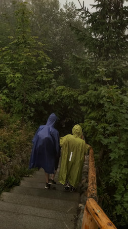 Two hikers wearing rain ponchos descend a stairway in the misty forests of the strbske pleso, high tatras mountains, slovakiaの写真素材