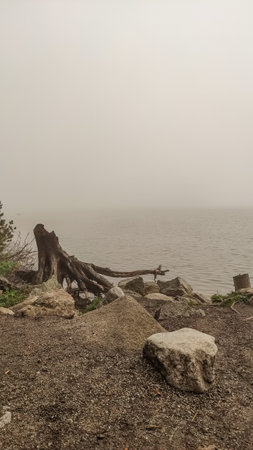 Fog obscuring the view of the high tatras mountains reflected on strbske pleso lake with rocks and driftwood in the foregroundの写真素材