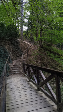 Wooden bridge and stairs inviting hikers into the lush greenery of pruhonice park in czechia,...