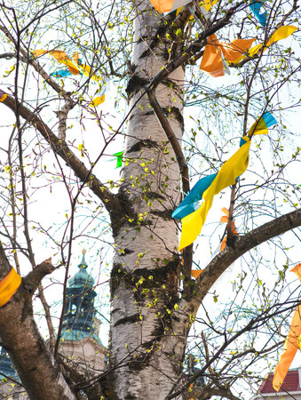 Colorful ribbons hanging on a birch tree with new spring leaves, with a church tower in the background in Prague, Czechiaの写真素材