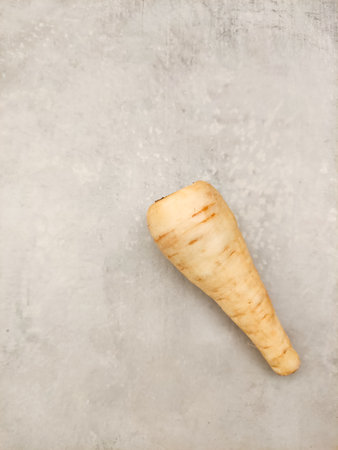 Single parsnip resting on a gray countertop, showcasing its fresh and healthy appeal, ready for culinary preparations in the kitchen copy space preparing vegetables for soupの写真素材