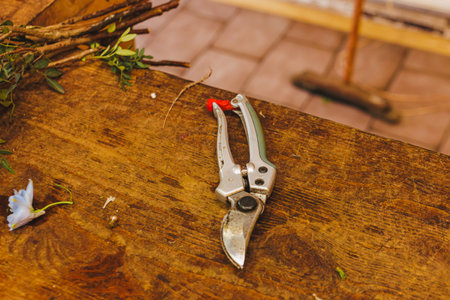 Gardening scissors lying on a wooden table with cut branches, ready for pruning and plant care