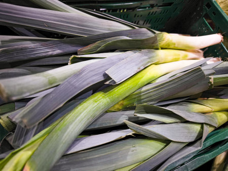 Fresh leeks arranged in a basket display vibrant green leaves and white stalks, ideal for various culinary dishes and healthy cooking optionsの写真素材