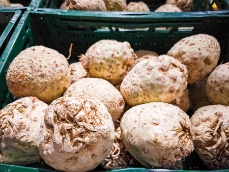 Organic celery root vegetables arranged in a market basket highlight their distinctive textures and shapes, perfect for culinary creativity and healthy mealsの写真素材