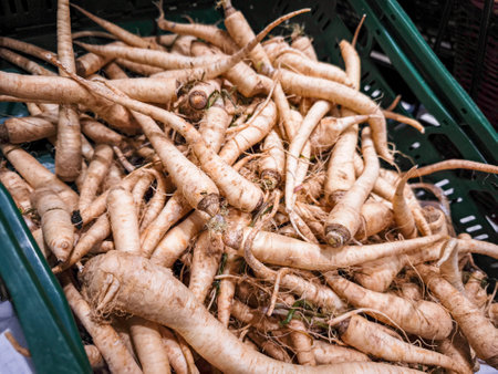 Freshly harvested roots are arranged in a basket, displaying their distinct shapes and textures, highlighting the essence of natural and organic foodの写真素材