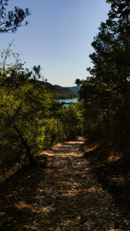 Scenic view of a rocky path descending through lush vegetation, leading to the tranquil waters of...