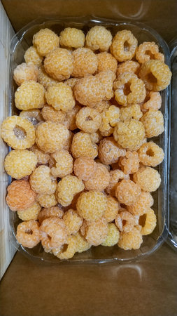 Ripe golden raspberries are packed in a clear plastic container, showing their unique color and...
