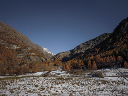 Scenic view of aosta valley in november, showcasing snow dusted fields and vibrant autumn trees under a clear blue sky, surrounded by majestic mountains Frazionne Lillazの写真素材