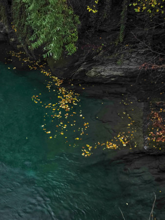 Autumn colored leaves dancing on emerald river waters, framed by rocky banks and verdant landscape...