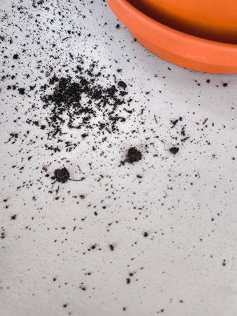 Spilled soil creating a mess on a white surface next to a terracotta pot copy spaceの写真素材