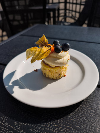 Mini cheesecake decorated with fresh fruit and cream on a table