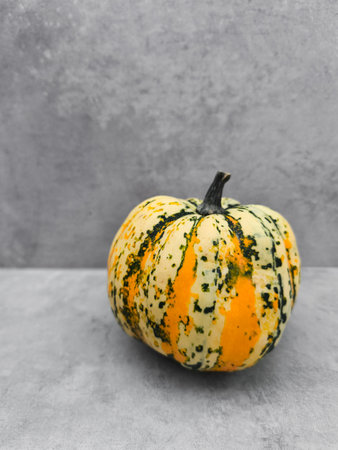 Sweet dumpling squash, adorned with vibrant yellow, green, and white stripes, rests on a gray table,...